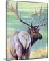 Bull Elk and Shadowy Sage-Joni Johnson-Godsy-Mounted Giclee Print