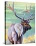 Bull Elk and Shadowy Sage-Joni Johnson-Godsy-Stretched Canvas
