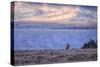 Bull Elk at Continental Divide - Yellowstone Lake-Vincent James-Stretched Canvas