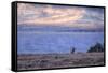 Bull Elk at Continental Divide - Yellowstone Lake-Vincent James-Framed Stretched Canvas