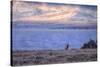 Bull Elk at Continental Divide - Yellowstone Lake-Vincent James-Stretched Canvas