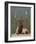 Bull Elk (Cervus Canadensis), Jasper National Park, Alberta, Canada, North America-James Hager-Framed Photographic Print