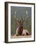 Bull Elk (Cervus Canadensis), Jasper National Park, Alberta, Canada, North America-James Hager-Framed Photographic Print