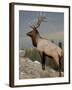 Bull Elk (Cervus Canadensis), Jasper National Park, UNESCO World Heritage Site, Alberta, Canada-James Hager-Framed Photographic Print