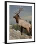 Bull Elk (Cervus Canadensis), Jasper National Park, UNESCO World Heritage Site, Alberta, Canada-James Hager-Framed Photographic Print