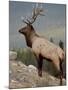 Bull Elk (Cervus Canadensis), Jasper National Park, UNESCO World Heritage Site, Alberta, Canada-James Hager-Mounted Photographic Print