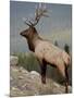 Bull Elk (Cervus Canadensis), Jasper National Park, UNESCO World Heritage Site, Alberta, Canada-James Hager-Mounted Photographic Print