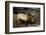 Bull Elk (Cervus Canadensis)-James Hager-Framed Photographic Print