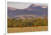 Bull elk in velvet along the Rocky Mountain Front near Choteau, Montana, USA-Chuck Haney-Framed Photographic Print