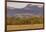 Bull elk in velvet along the Rocky Mountain Front near Choteau, Montana, USA-Chuck Haney-Framed Photographic Print