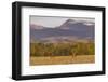 Bull elk in velvet along the Rocky Mountain Front near Choteau, Montana, USA-Chuck Haney-Framed Photographic Print