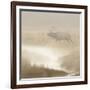 Bull Elk on foggy morning along Madison River, Yellowstone National Park, Montana, Wyoming-Adam Jones-Framed Photographic Print