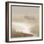 Bull Elk on foggy morning along Madison River, Yellowstone National Park, Montana, Wyoming-Adam Jones-Framed Photographic Print