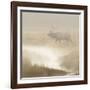 Bull Elk on foggy morning along Madison River, Yellowstone National Park, Montana, Wyoming-Adam Jones-Framed Photographic Print