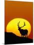 Bull Elk Outlined by Sun-Chase Swift-Mounted Photographic Print