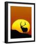 Bull Elk Outlined by Sun-Chase Swift-Framed Photographic Print