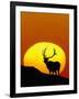 Bull Elk Outlined by Sun-Chase Swift-Framed Photographic Print