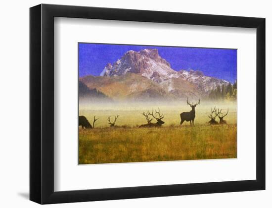 Bull Elk-Chris Vest-Framed Art Print