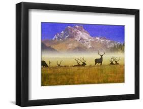 Bull Elk-Chris Vest-Framed Art Print