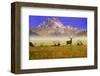 Bull Elk-Chris Vest-Framed Art Print