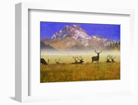 Bull Elk-Chris Vest-Framed Art Print