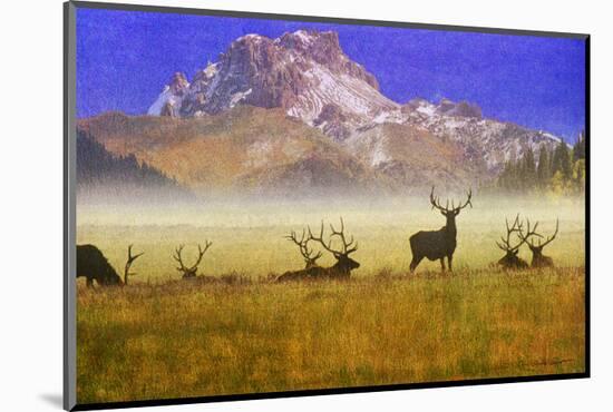 Bull Elk-Chris Vest-Mounted Art Print