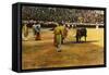 Bull Fight, 20th Century-null-Framed Stretched Canvas