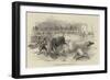 Bull-Fight at Madrid, Accident to Montes, the Matador-null-Framed Giclee Print