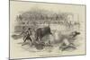 Bull-Fight at Madrid, Accident to Montes, the Matador-null-Mounted Giclee Print