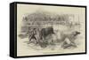 Bull-Fight at Madrid, Accident to Montes, the Matador-null-Framed Stretched Canvas