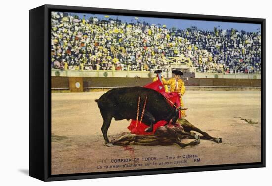 Bull Fight in Spain, Early 20th Century-null-Framed Stretched Canvas