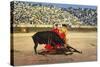 Bull Fight in Spain, Early 20th Century-null-Stretched Canvas