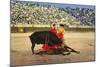 Bull Fight in Spain, Early 20th Century-null-Mounted Photographic Print