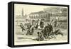 Bull-Fight, Spain-null-Framed Stretched Canvas