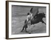 Bull Fighter Manolete Raising His Cape as Bull Charges Past Him in Bull Ring During Bull Fight-William C^ Shrout-Framed Premium Photographic Print