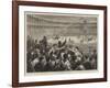 Bull-Fighting in Spain-null-Framed Giclee Print