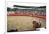 Bull Fighting, Tena, Ecuador, South America-Mark Chivers-Framed Photographic Print