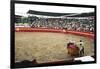 Bull Fighting, Tena, Ecuador, South America-Mark Chivers-Framed Photographic Print