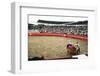 Bull Fighting, Tena, Ecuador, South America-Mark Chivers-Framed Photographic Print