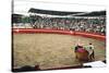 Bull Fighting, Tena, Ecuador, South America-Mark Chivers-Stretched Canvas