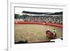 Bull Fighting, Tena, Ecuador, South America-Mark Chivers-Framed Photographic Print