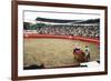 Bull Fighting, Tena, Ecuador, South America-Mark Chivers-Framed Photographic Print