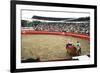 Bull Fighting, Tena, Ecuador, South America-Mark Chivers-Framed Photographic Print