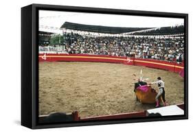Bull Fighting, Tena, Ecuador, South America-Mark Chivers-Framed Stretched Canvas