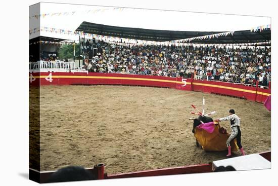 Bull Fighting, Tena, Ecuador, South America-Mark Chivers-Stretched Canvas