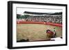 Bull Fighting, Tena, Ecuador, South America-Mark Chivers-Framed Photographic Print