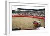 Bull Fighting, Tena, Ecuador, South America-Mark Chivers-Framed Photographic Print