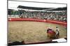Bull Fighting, Tena, Ecuador, South America-Mark Chivers-Mounted Photographic Print