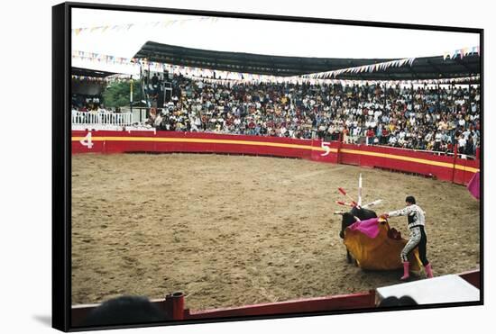 Bull Fighting, Tena, Ecuador, South America-Mark Chivers-Framed Stretched Canvas