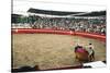 Bull Fighting, Tena, Ecuador, South America-Mark Chivers-Stretched Canvas